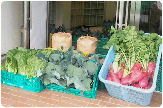 ご支援で届けられた沢山の野菜